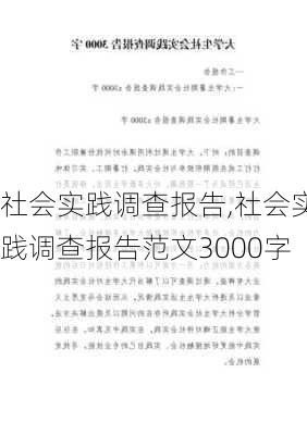 社会实践调查报告,社会实践调查报告范文3000字