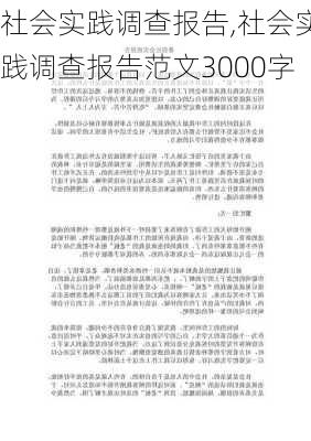 社会实践调查报告,社会实践调查报告范文3000字