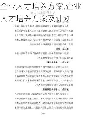 企业人才培养方案,企业人才培养方案及计划