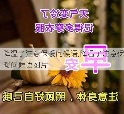 降温了注意保暖问候语,降温了注意保暖问候语图片