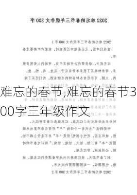 难忘的春节,难忘的春节300字三年级作文