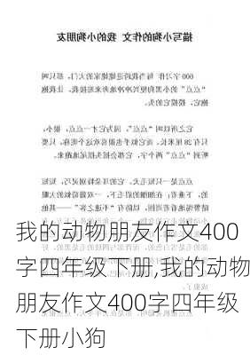 我的动物朋友作文400字四年级下册,我的动物朋友作文400字四年级下册小狗