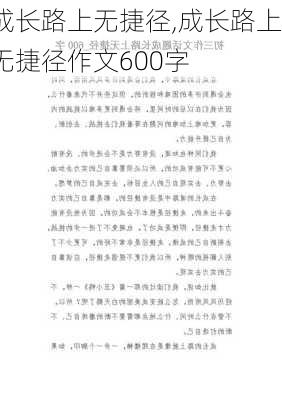 成长路上无捷径,成长路上无捷径作文600字