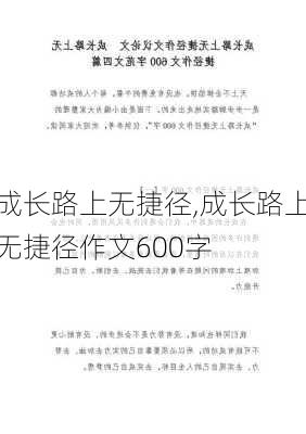 成长路上无捷径,成长路上无捷径作文600字