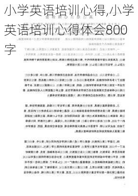 小学英语培训心得,小学英语培训心得体会800字