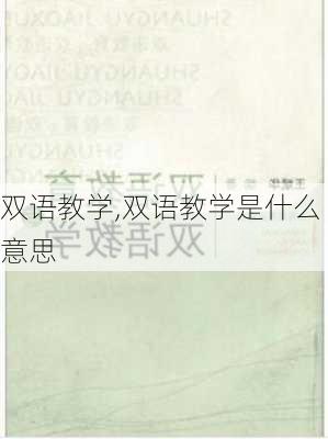 双语教学,双语教学是什么意思