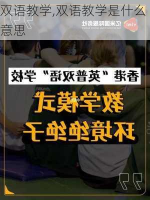 双语教学,双语教学是什么意思