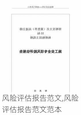 风险评估报告范文,风险评估报告范文范本