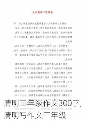 清明三年级作文300字,清明写作文三年级