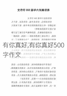 有你真好,有你真好500字作文