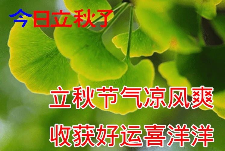 立秋四字祝福语,立秋四字祝福语大全