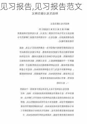 见习报告,见习报告范文