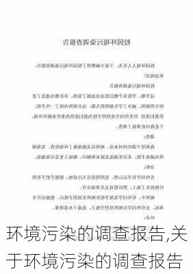 环境污染的调查报告,关于环境污染的调查报告