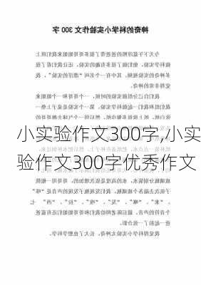 小实验作文300字,小实验作文300字优秀作文