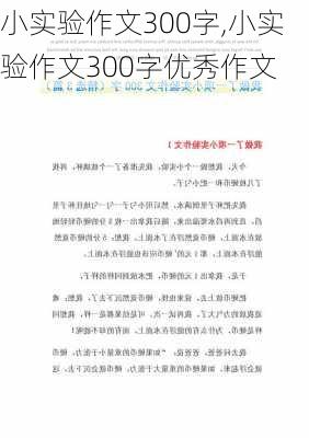 小实验作文300字,小实验作文300字优秀作文