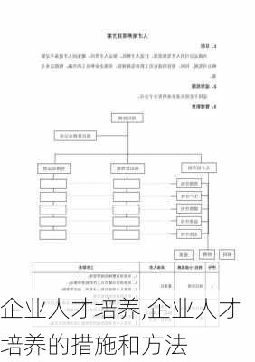 企业人才培养,企业人才培养的措施和方法