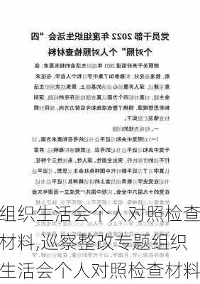 组织生活会个人对照检查材料,巡察整改专题组织生活会个人对照检查材料