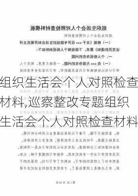 组织生活会个人对照检查材料,巡察整改专题组织生活会个人对照检查材料