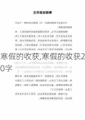 寒假的收获,寒假的收获20字