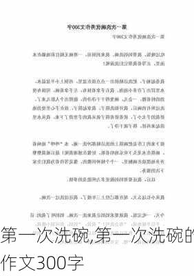 第一次洗碗,第一次洗碗的作文300字