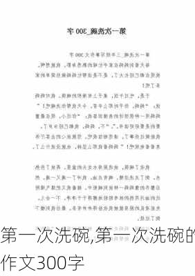 第一次洗碗,第一次洗碗的作文300字