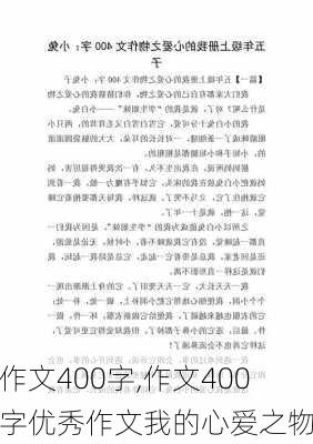 作文400字,作文400字优秀作文我的心爱之物