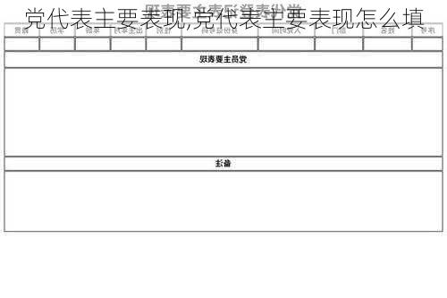 党代表主要表现,党代表主要表现怎么填