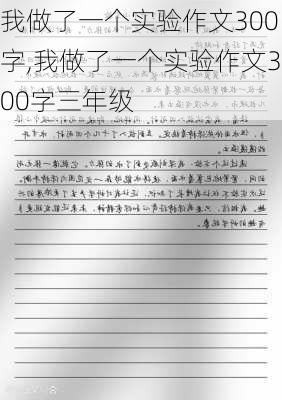 我做了一个实验作文300字,我做了一个实验作文300字三年级