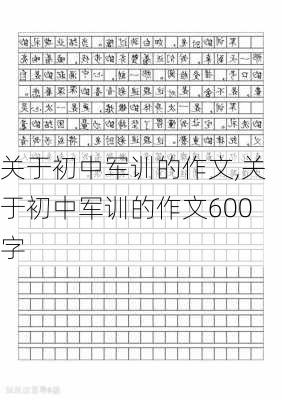 关于初中军训的作文,关于初中军训的作文600字